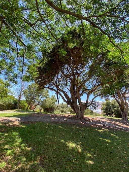 Apt Moderno Con Vistas, Recepcion 24 Hs Y Piscinas 贝纳尔马德纳 外观 照片